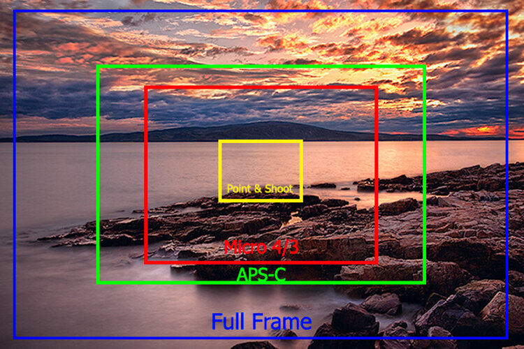 crop factor 